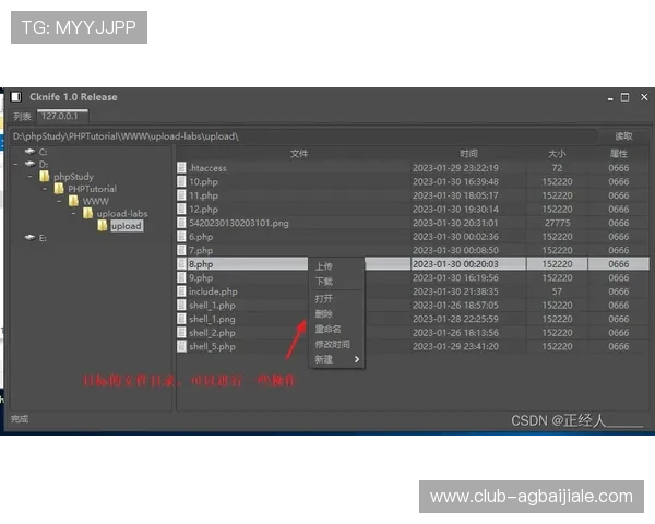 探索火爆ag视讯玩法中的独家秘诀实现稳定获利 探索火爆ag视讯玩法中的独家秘诀实现稳定获利